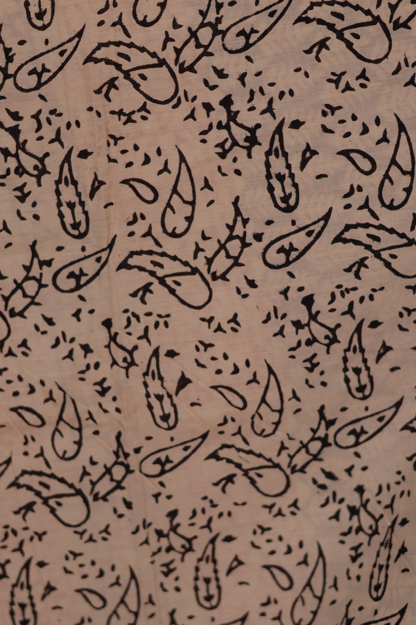Cream Bagru Handblock printed MulMul cotton saree
