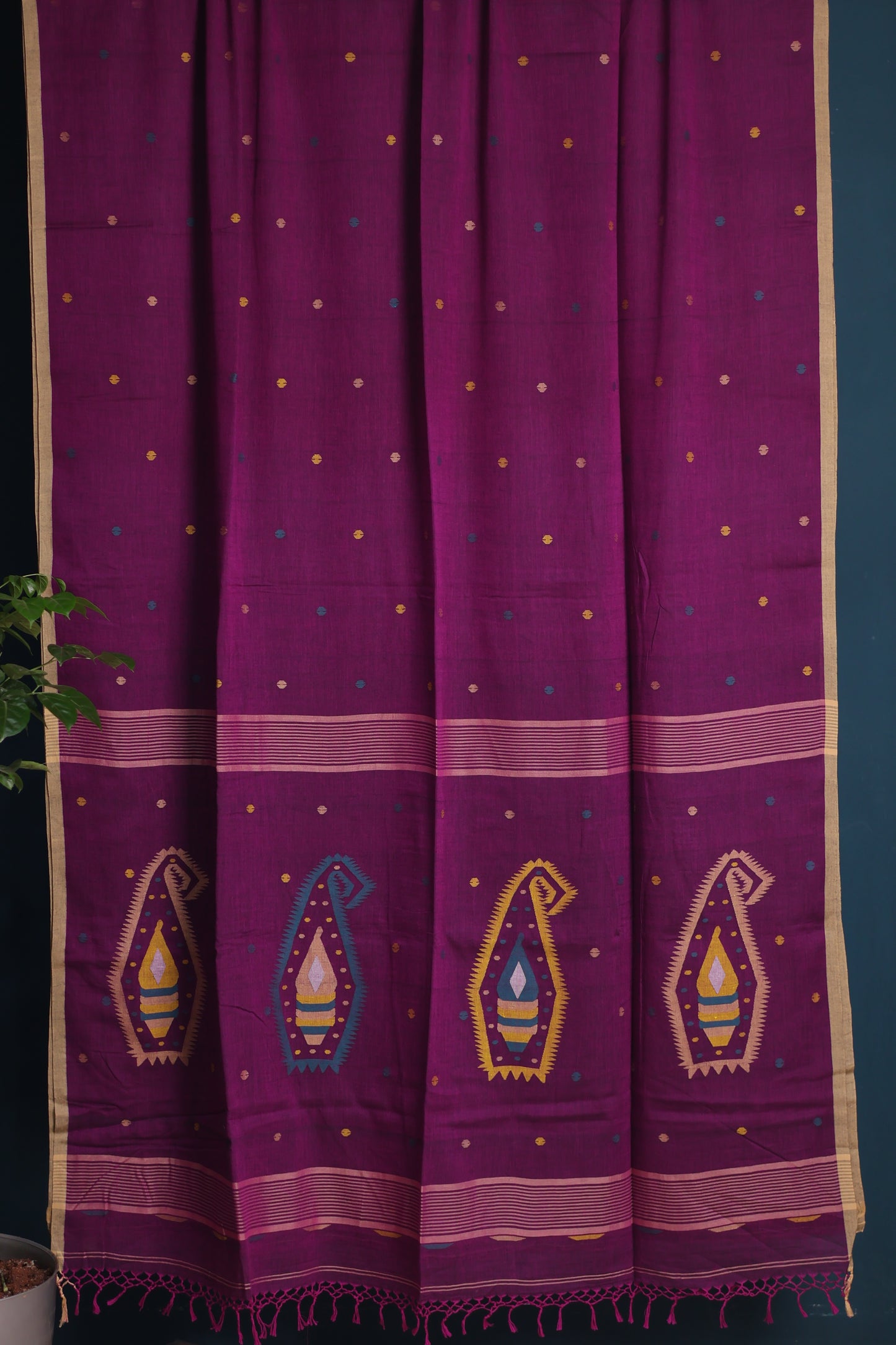 Pure Handwoven Jamdhani Malai Cotton Saree
