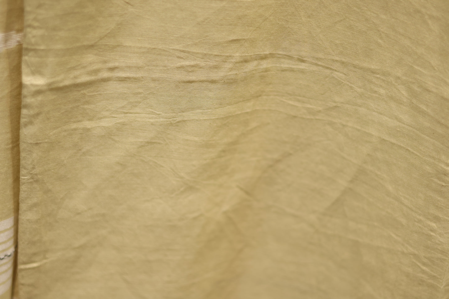 Pure Handwoven Malai Cotton Saree with Butta Weaving