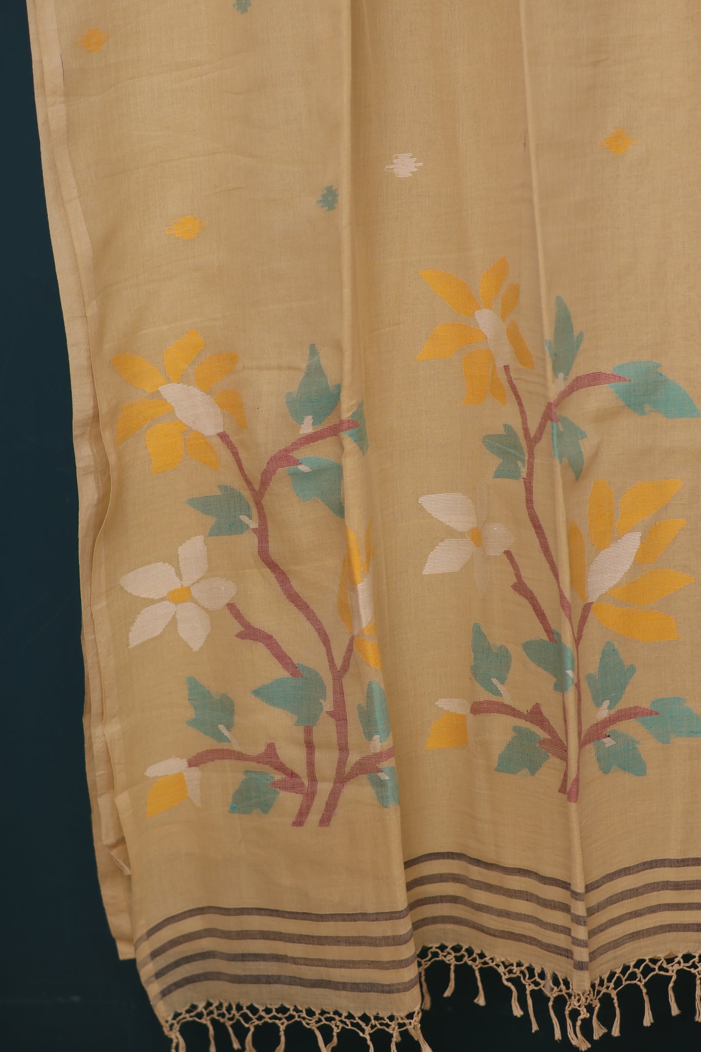 Cream Pure Handwoven Jamdhani Malai Cotton Saree