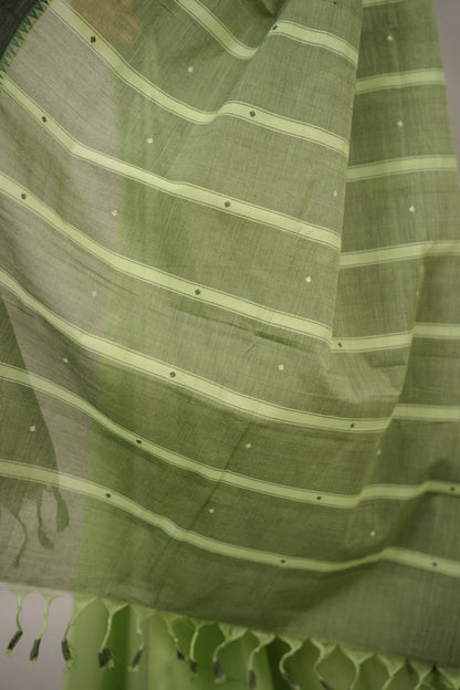 Pista Green Handloom Venkatagiri Cotton Saree Without Blouse | Looms & Tassels