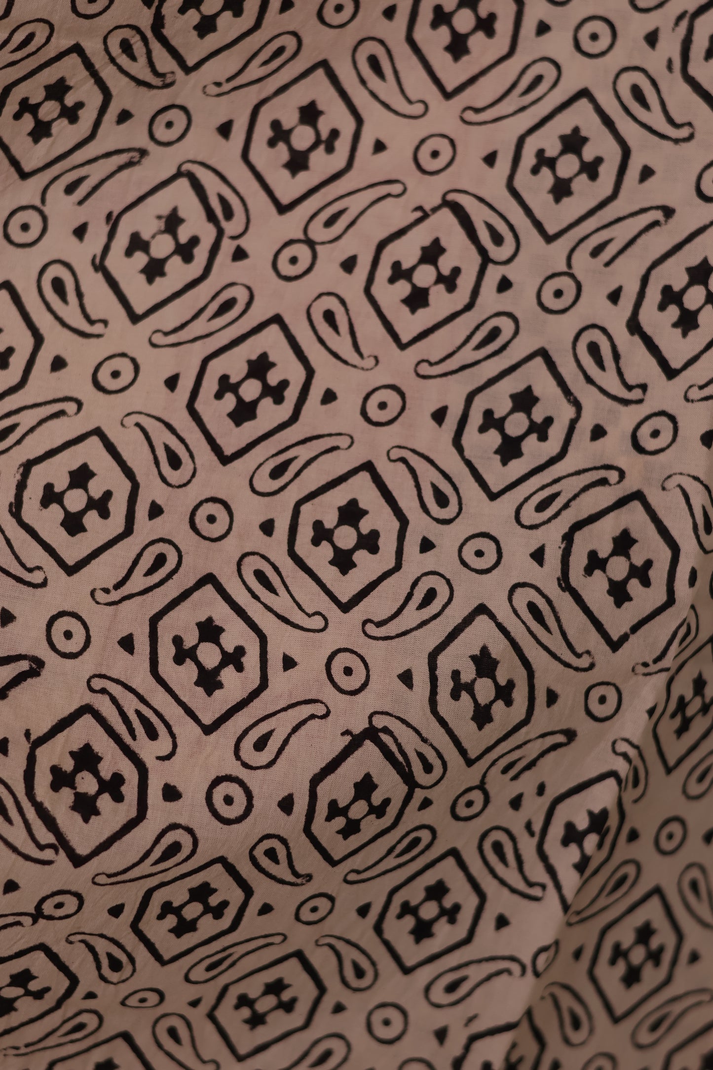 Cream Bagru Handblock printed MulMul cotton saree