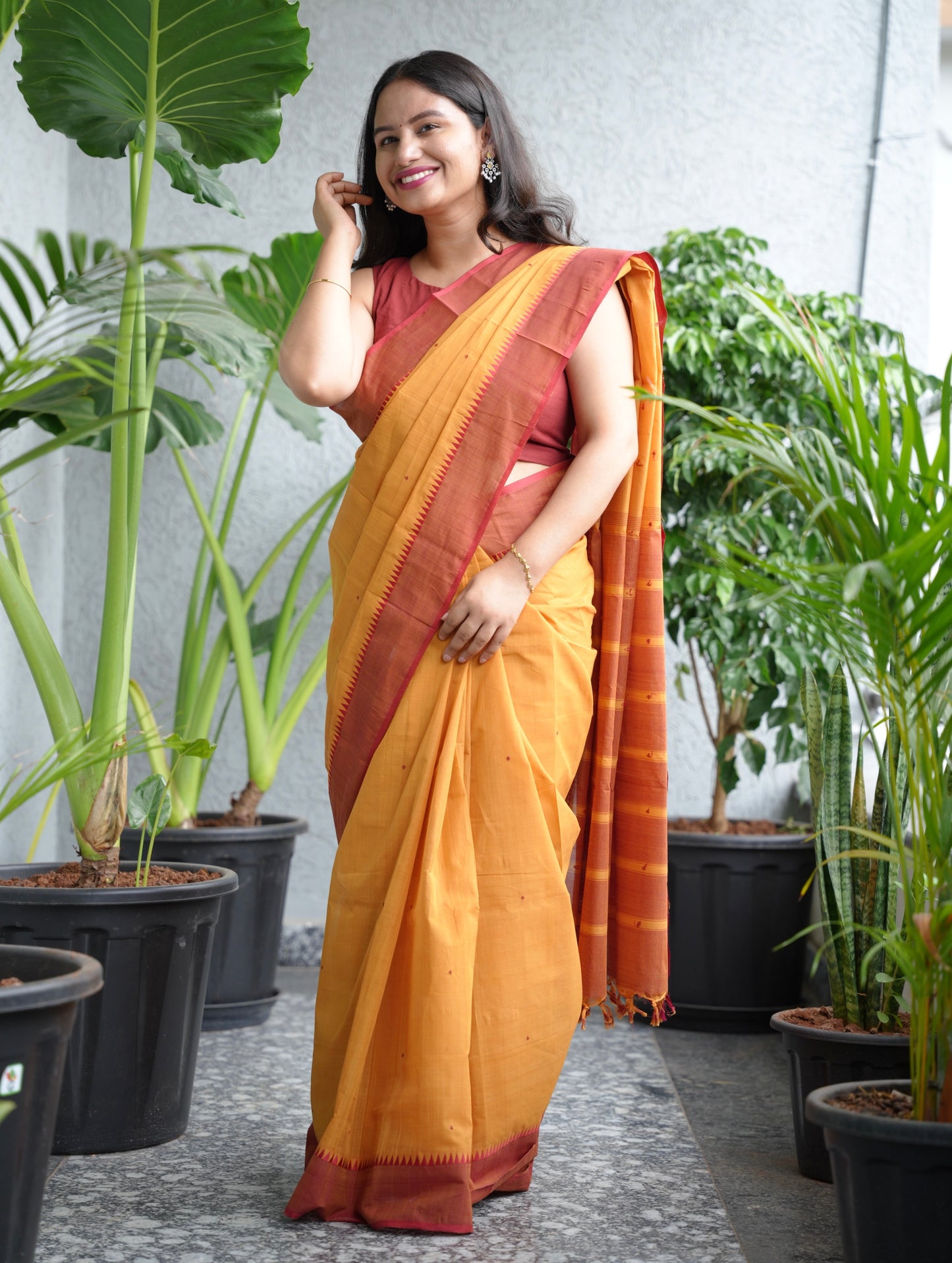 Mustard Handloom Venkatagiri Cotton Saree Without Blouse | Looms & Tassels