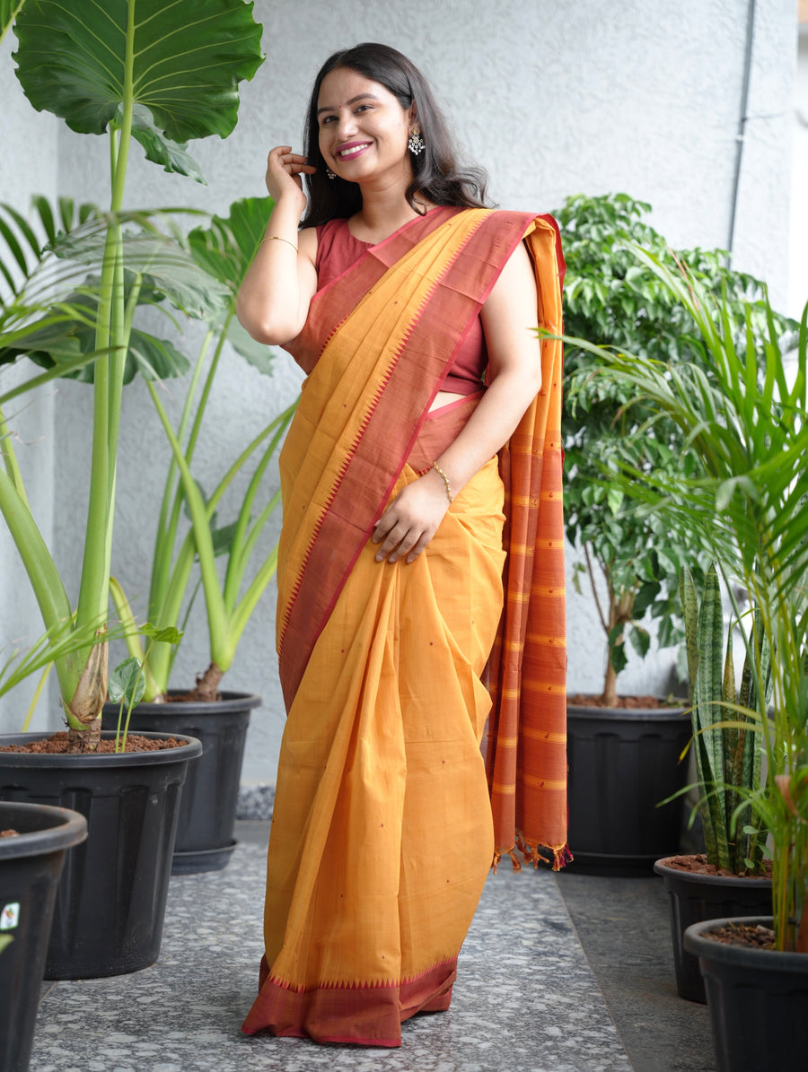 Mustard Handloom Venkatagiri Cotton Saree Without Blouse | Looms & Tassels