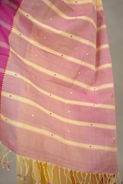 Cream Handloom Venkatagiri Cotton Saree Without Blouse | Looms & Tassels