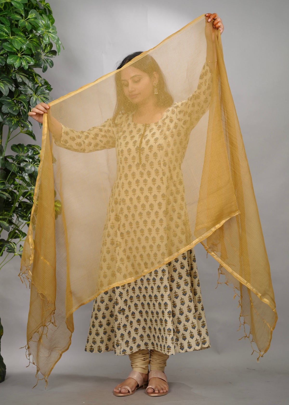 Olive Plain Kota Doria Dupatta
