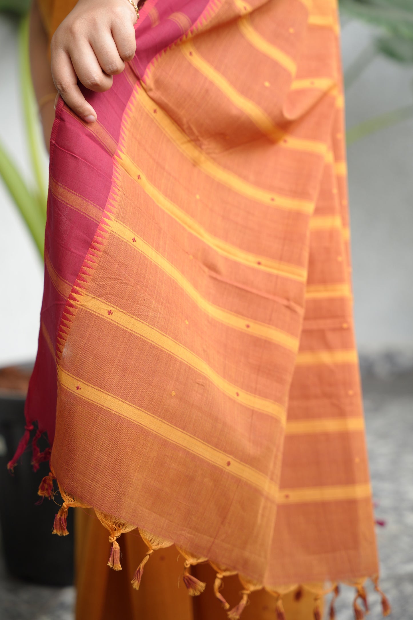 Mustard Handloom Venkatagiri Cotton Saree Without Blouse | Looms & Tassels