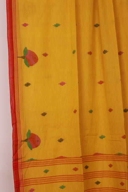 Yellow Pure Handwoven Jamdhani Malai Cotton Saree