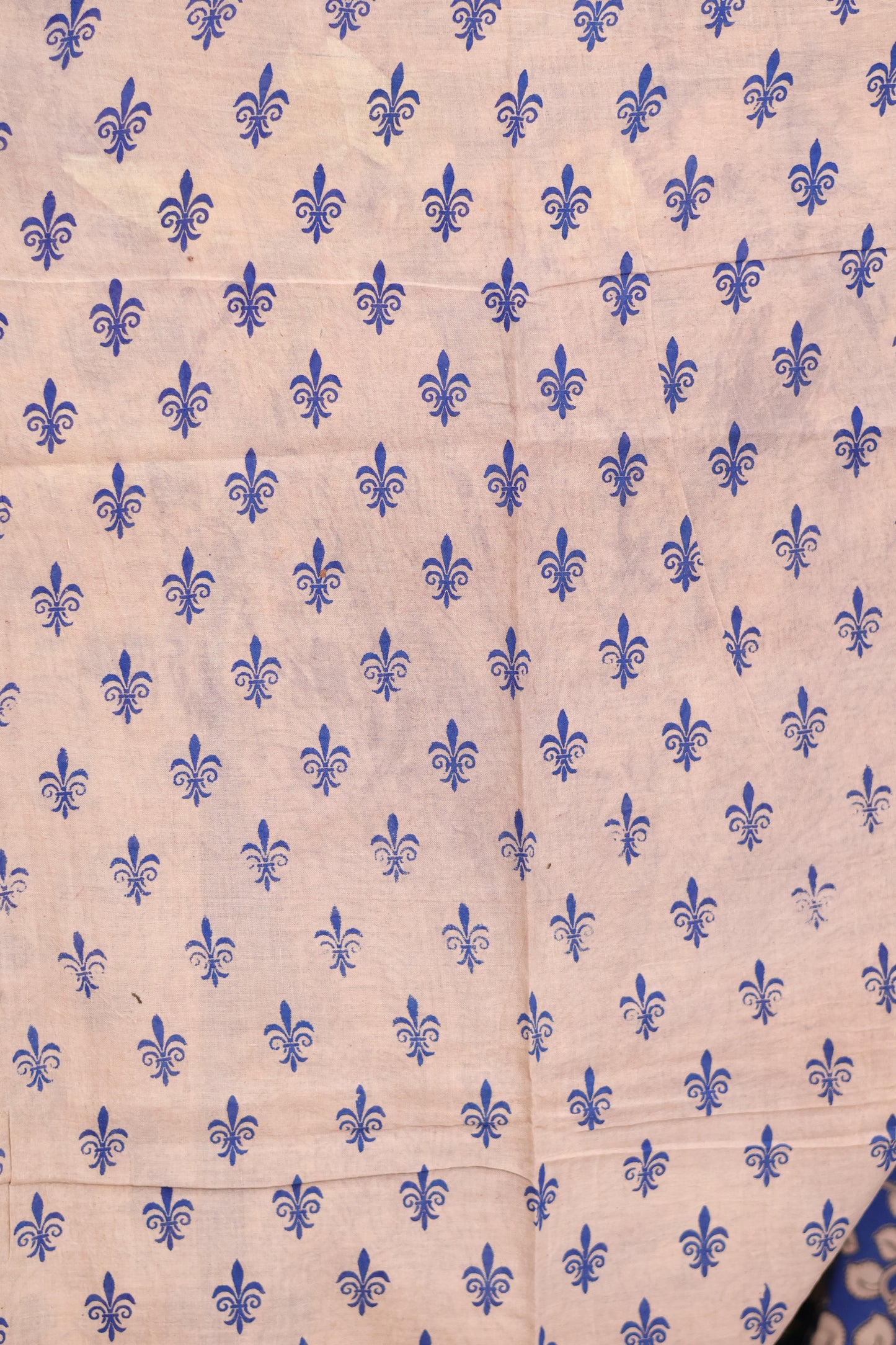 Blue Kalamkari Cotton Saree