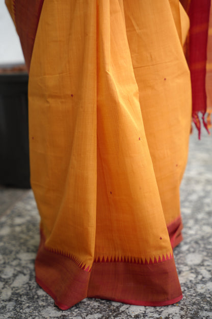 Mustard Handloom Venkatagiri Cotton Saree Without Blouse | Looms & Tassels