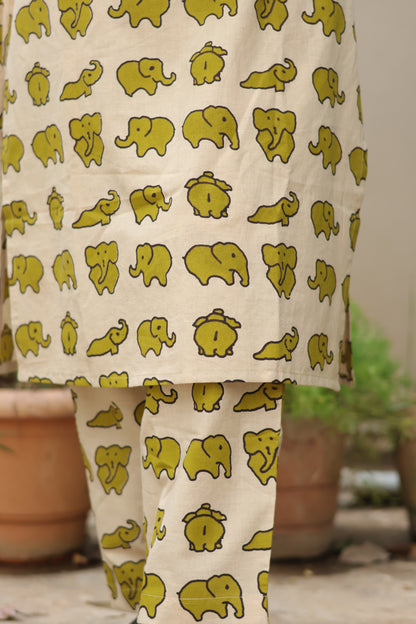 Green Pure Cotton Handcrafted Co-Ord Set