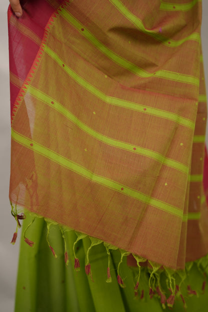 Parrot Green Handloom Venkatagiri Cotton Saree Without Blouse | Looms & Tassels