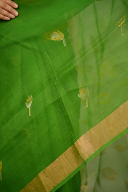 Paret Green Handloom Muslin Silk Saree With jamdhani weaving | Looms & Tassels