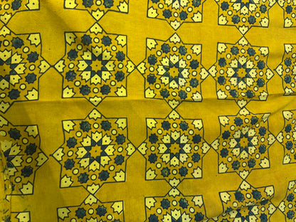 Green Narayanpet Cotton Saree lines weaving with contrast bock printed blouse | Looms & Tassels