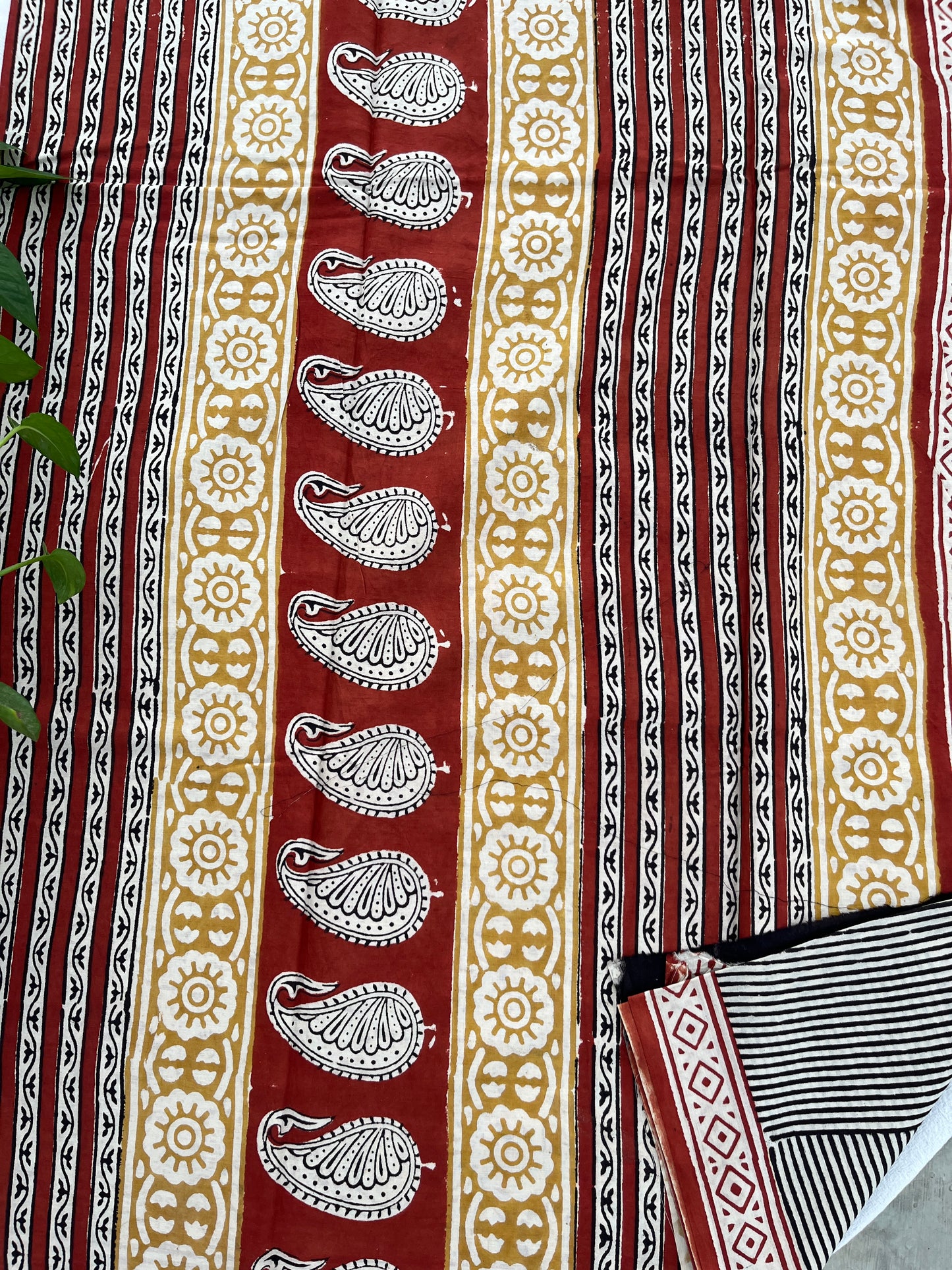 Mulmul Cotton Saree